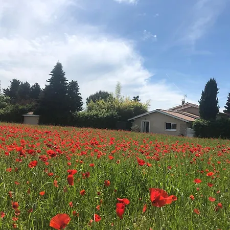 Le Jacqueron アパート Roche (Isere)